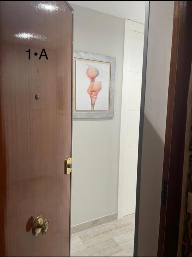 Viana Rooms 科爾多瓦 外观 照片