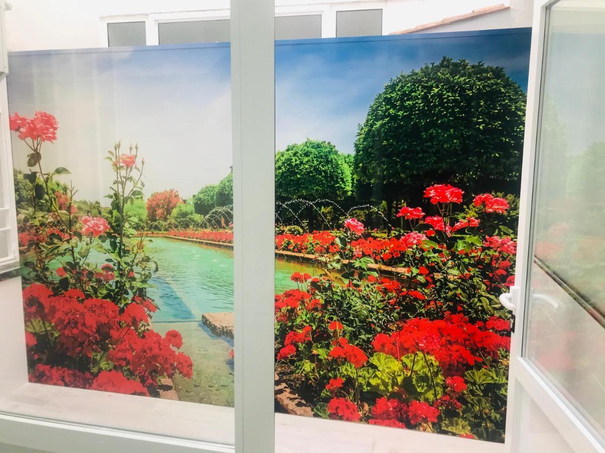 Viana Rooms 科爾多瓦 外观 照片